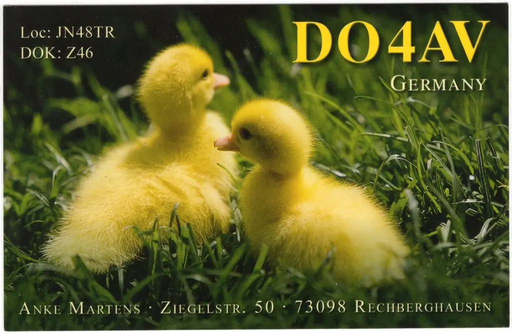 QSL lap