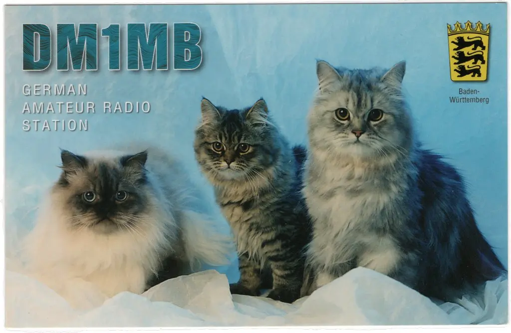 QSL lap