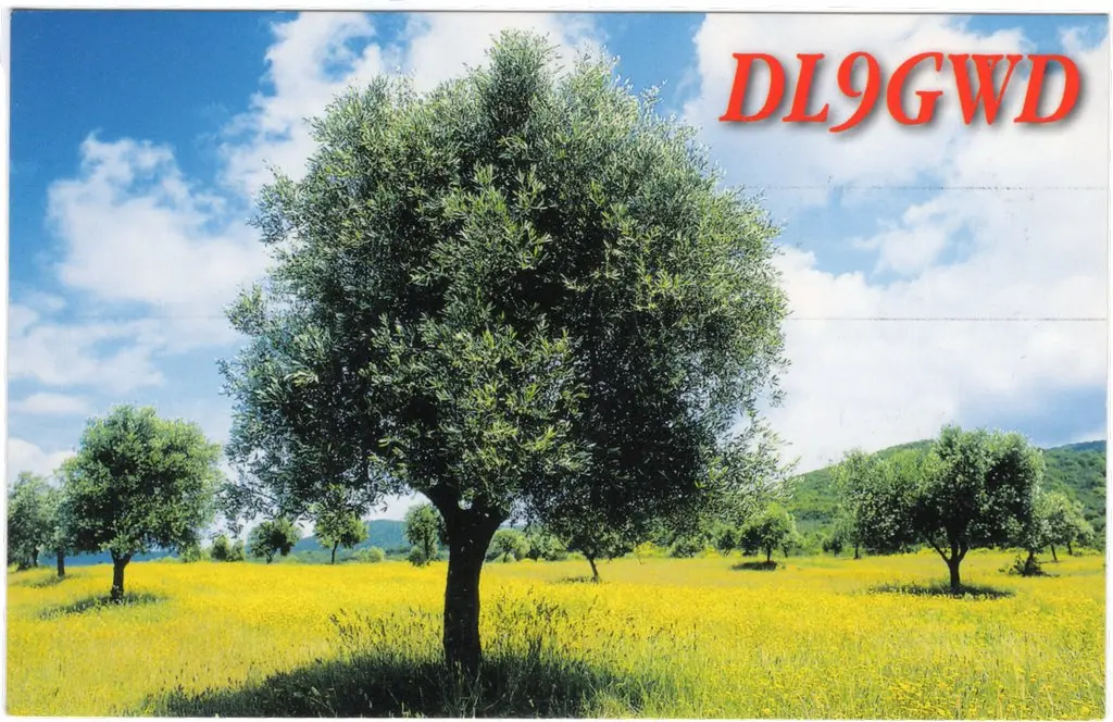 QSL lap
